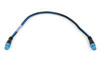 RAYMARINE Seatalk NG Backbone Cable 400ММ A06033 от прозводителя Raymarine