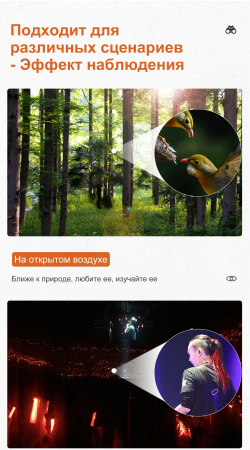 Бинокль Eyeskey Captor ED-8x42 EyeS-B112 от прозводителя Eyeskey
