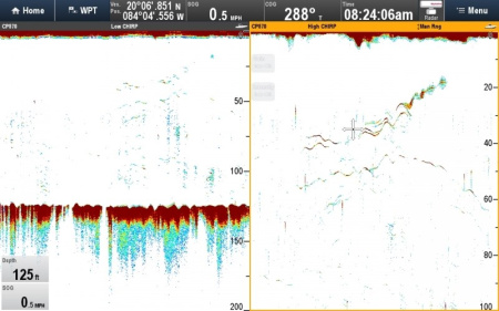 Raymarine CP570 E70258 от прозводителя Raymarine