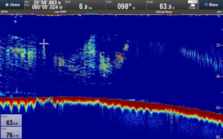 Raymarine CP470 E70298 от прозводителя Raymarine
