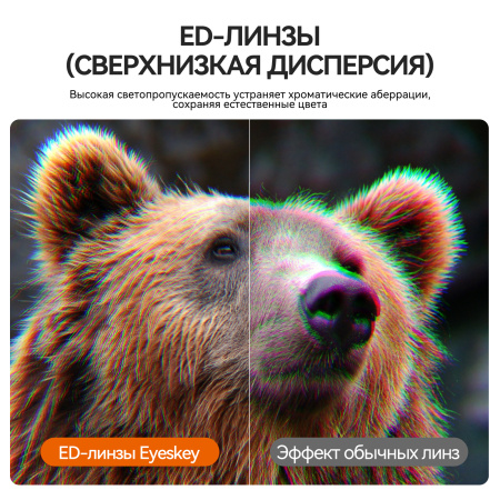 Бинокль Eyeskey Vigil - 12x50 EyeS-B152 от прозводителя Eyeskey