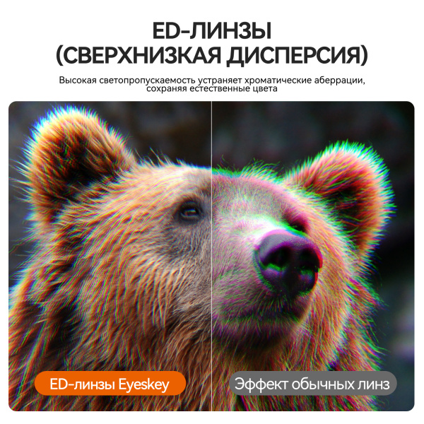 Бинокль Eyeskey Vigil - 12x50 EyeS-B152 от прозводителя Eyeskey