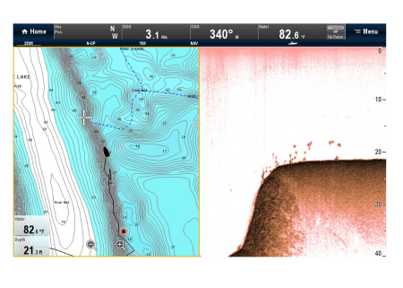 RAYMARINE Downvision Sonar Module CP100 E70204 от прозводителя Raymarine