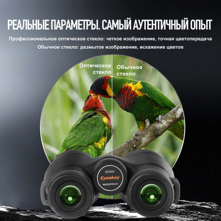 Бинокль Eyeskey Surge - 10x42 EyeS-B145 от прозводителя Eyeskey